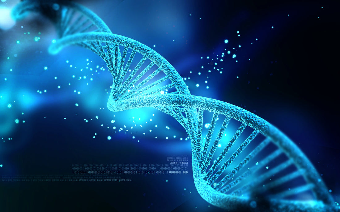 THE DNA: A DOUBLE HELICAL BIO-MOLECULE WITH DUAL PROPERTIES?